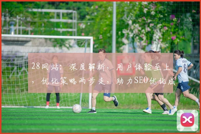 28网站：深度解析，用户体验至上，优化策略两步走，助力SEO优化成功