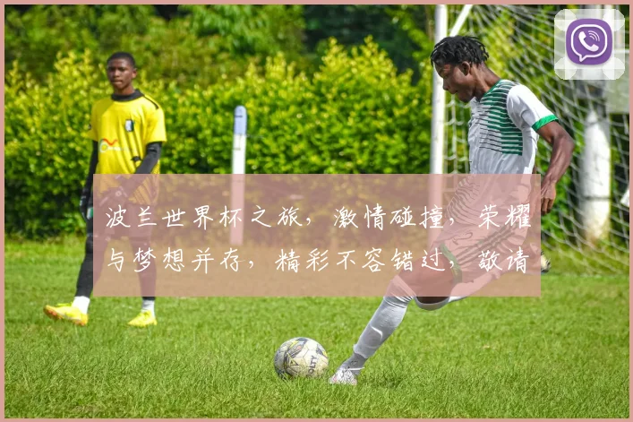 波兰世界杯之旅，激情碰撞，荣耀与梦想并存，精彩不容错过，敬请期待