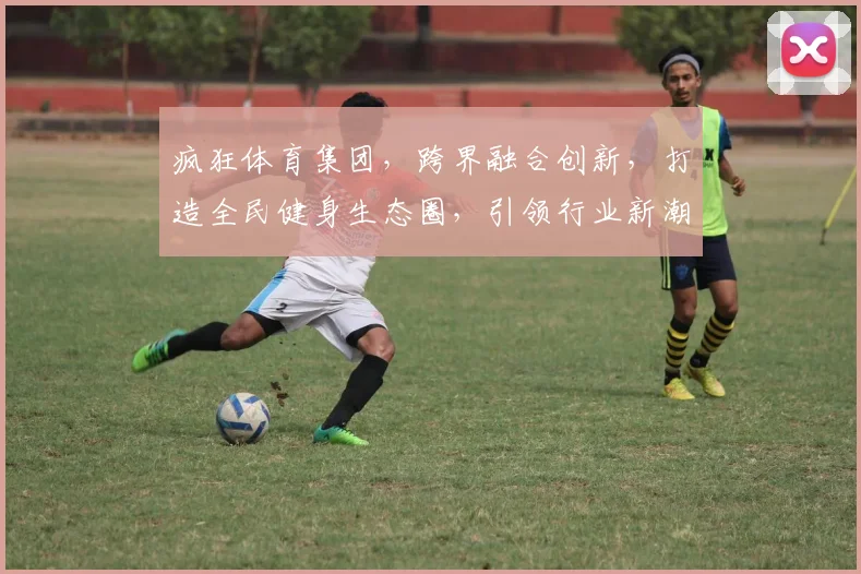 疯狂体育集团，跨界融合创新，打造全民健身生态圈，引领行业新潮流，共筑体育强国梦
